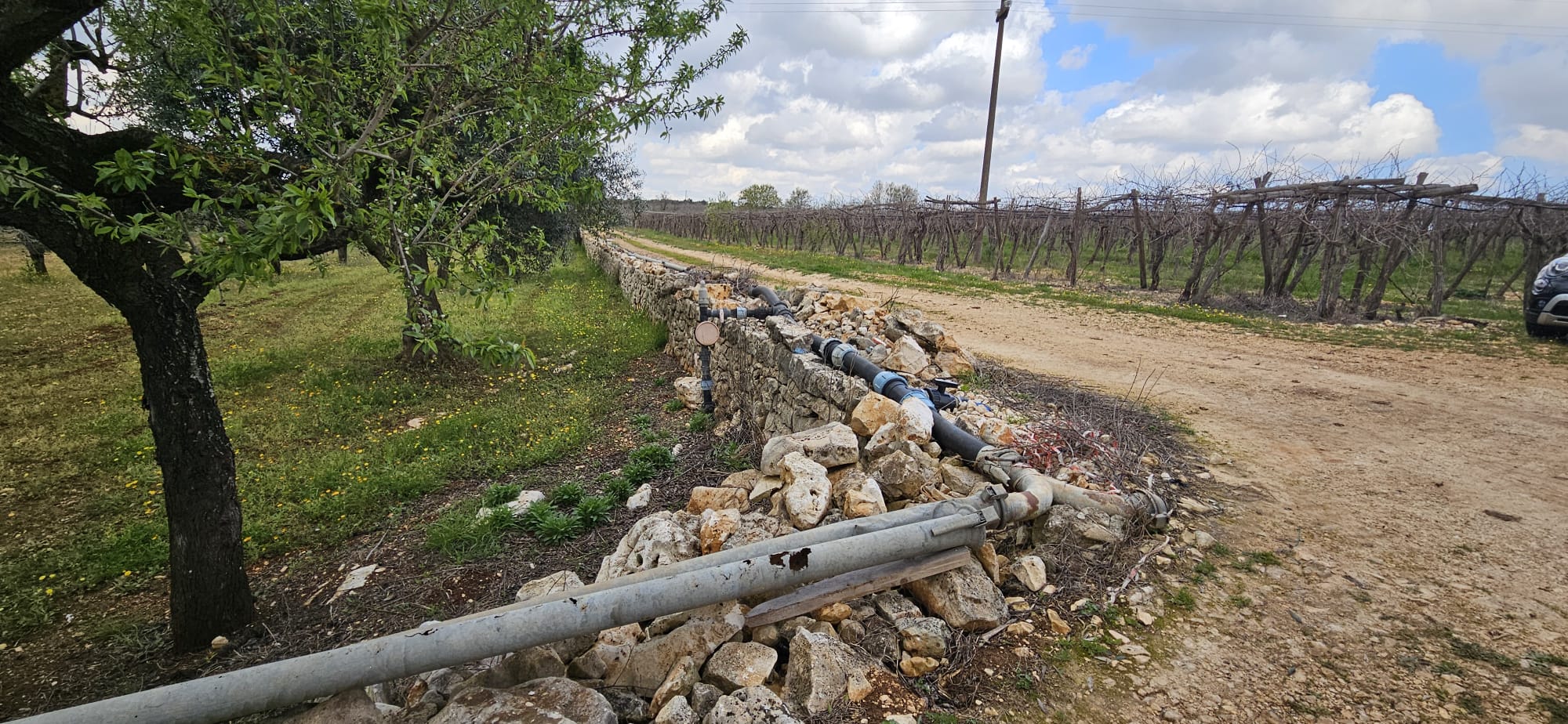 Terreno di 33.700 mq ca. con Fabbricato Rurale